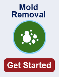 mold remediation in Goodyear TN