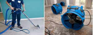 property restoration in Arizona